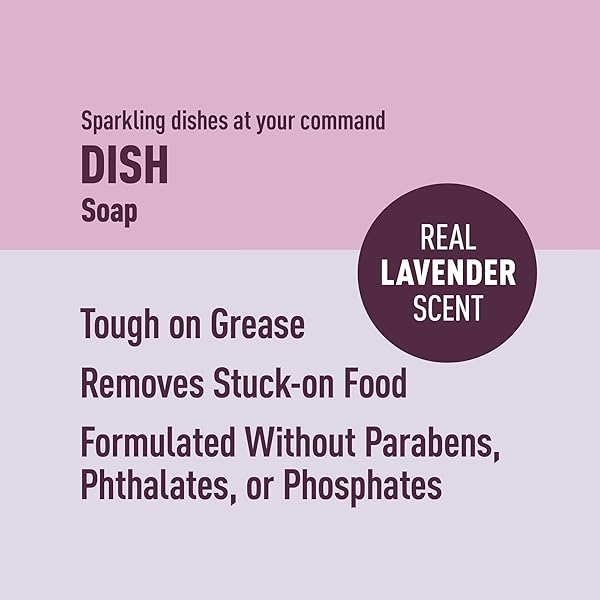 AMAZON BRAND – PRESTO! DISH SOAP, LAVENDER SCENT, 30 FL OZ, PACK OF 2