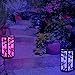 SolarDuke Hanging Lantern Solar Hummingbird Color Changing Decoration Garden Outdoor Light For Home Patio Deck Lawn Yard Holiday Decor For Wedding Birthday Party LED Tree Mount Fairy Ornament Lighting