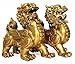 BOYULL Feng Shui Set of Two Golden Brass Pi Yao/Pi Xiu Wealth Porsperity Figurine,Attract Wealth and Good Luck,Best Decoration for Office or Home