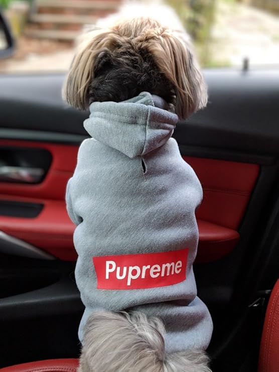 pupreme dog hoodie