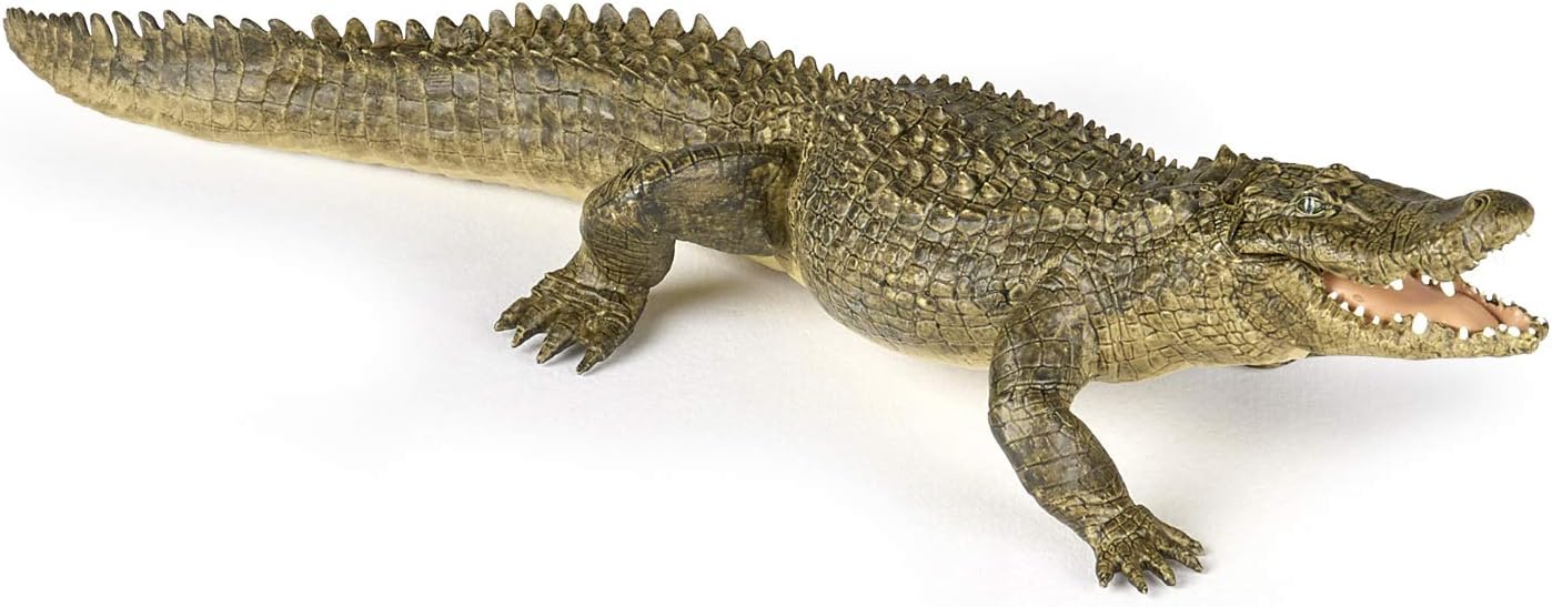 Papo Alligator, Multi (50254): Toys \u0026 Games