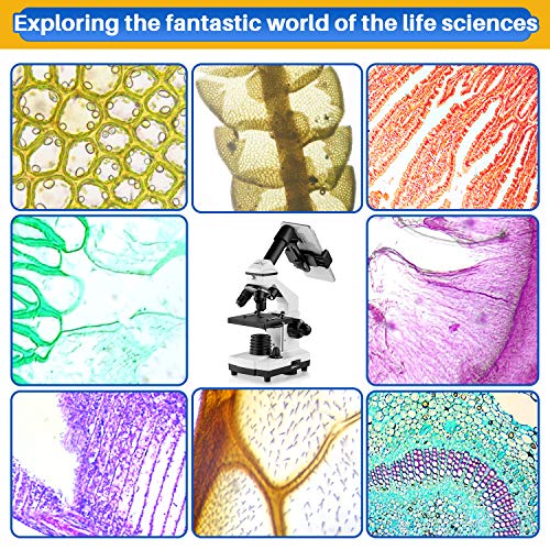 4 200X+2000X+Microscopes+Microscope+Biological+Laboratory