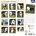 Old English Sheepdogs - 2017 Calendar 12 x 12in