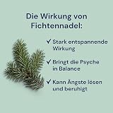 Spitzner Spruce Needle Sauna Infusion 1000 ml - Relaxing Aroma view 2