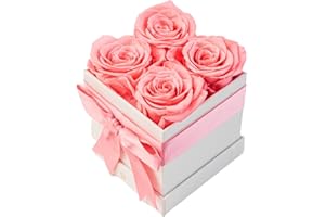 AROMEO Pink Roses, A Gift That Lasts | Fresh Flowers for Delivery, Valentines Day Gifts, Mom, Girlfriend, Wife, Valentine, Birthday, Women Gift. Preserved Fresh Cut Zero Maintenance Roses with Box