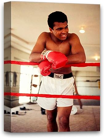 Download Boxen lustig For Android