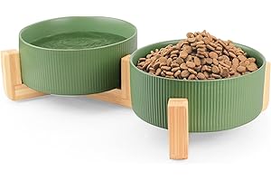 Ptlom Ceramic Pet Bowls for Dog and Cat, No Spill Dog Food and Water Bowl Set with Anti-Slip Wooden Stand, Riased Puppy Feeding Dishes Suitable for Small, Medium and Large Cats Dogs, Green 28 OZ
