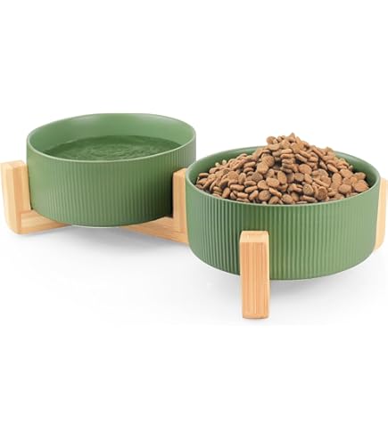 Small Dogs Selamica Ceramic Cat Food Bowl Set Of 4, Inch Wide