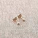14k Rose Gold Ball Stud Earrings, 2mm