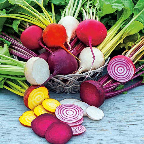 Suttons Beetroot Seeds Rainbow Mix, Vegetable Seed, Approx. 250 Seeds per Pack, Grow Your own, Ideal for Containers, Beds and Borders