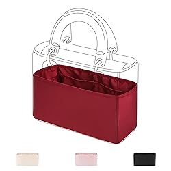 DGAZ Silk Purse Organizer Insert For Lady-Dior