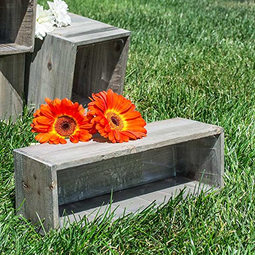 https://images-na.ssl-images-amazon.com/images/I/61i2NRr17wL.jpg