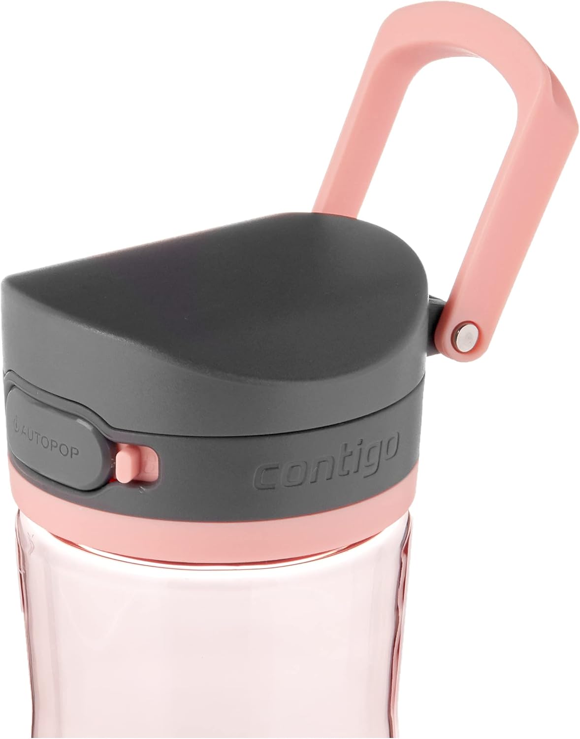 Contigo 2144909 Water Bottle, 24oz, Juniper & Pink Lemonade: Kitchen & Dining