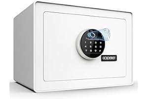 Goldenkey Luxury Jewelry Safe with Fingerprint&Keypad Lock, Document Safe Box with Soft Velvet Lining, Removable Shelf, High Security for Home Office, Hotel, 1.2 Cu.Ft.