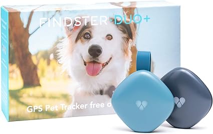 Findster Traceur Gps Duo Pour Chiens Et Chats Sans Abonnement Collier De Suivi Gps Et Moniteur Dactivité Pour Animaux De Compagnie Anglais