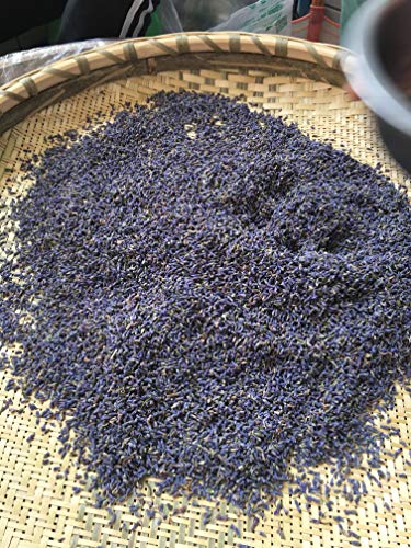 image for Zonesgo Fragrant Lavender Buds Organic Dried Flowers Wholesale, Lavend