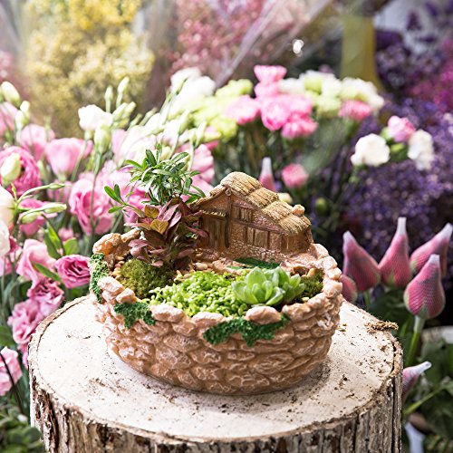 NCYP Fairy Resin Planter, Modern Garden Miniature Log Cottage Rock Fence Sweet House Flower Pot for Succulent Plants, Indoor Outdoor Tabletop Cottage Sculpture Decorative Flowerpot Orange No Plants