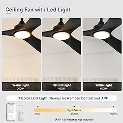 BvenuBigLite Black Ceiling Fan with Light: 3 Blades