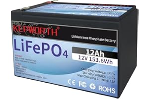 DEESPAEK LiFePO4 Battery 12V 12Ah, Rechargeable Deep Cycle Lithium Batteries with 10A BMS, Perfect for Home Alarm, Backup UPS, Camara, Radio