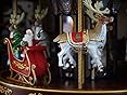 Amazon.com: Mr. Christmas Deluxe Carousel Musical Animated Indoor ...