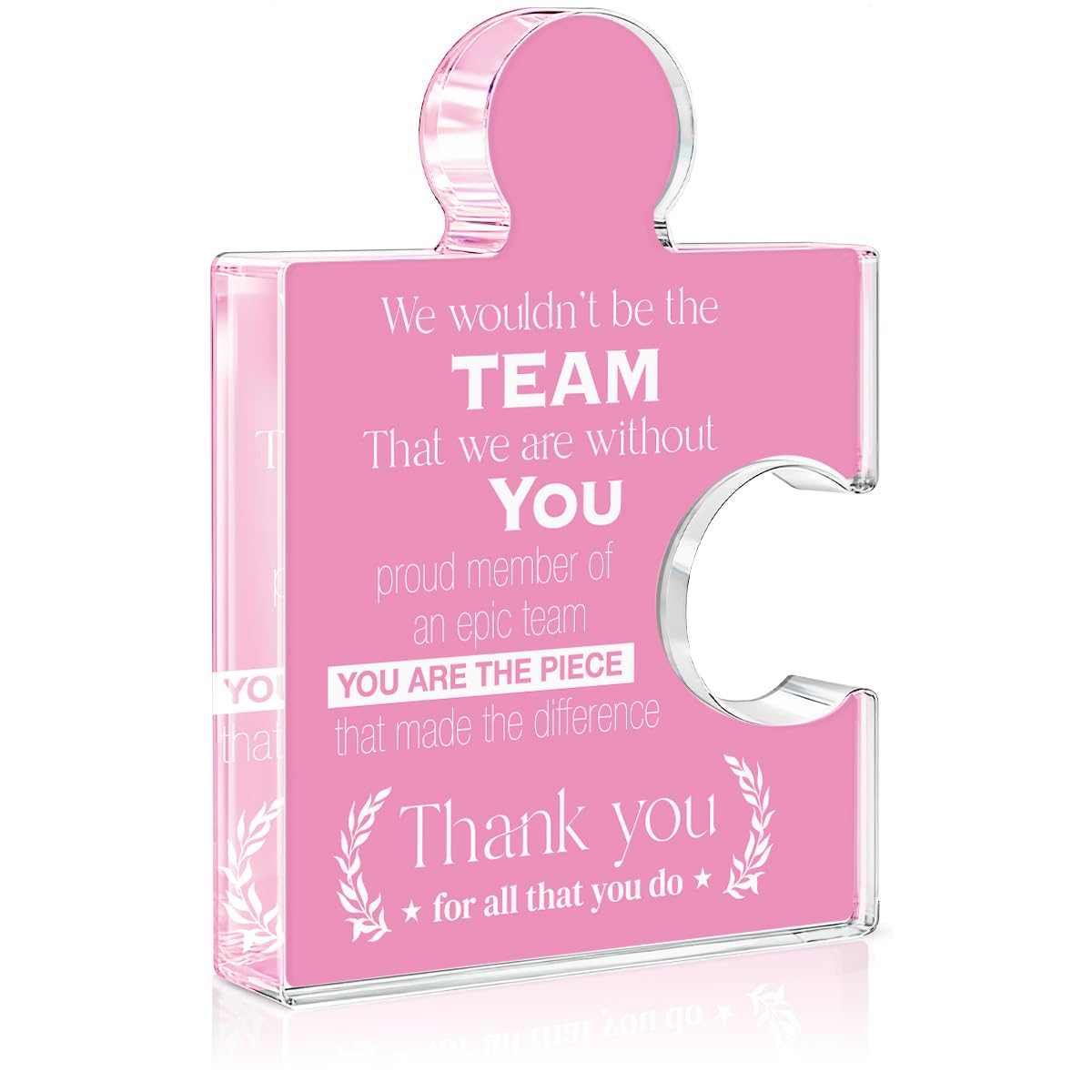 Teams Appreciation Thank You Gifts for Women Coworkers Colleagues Employees Boss Lady, Best Team Ever Gifts We Wouldn't Be the Team We Are Without You Acrylic Puzzle Piece Plaque Office Decor