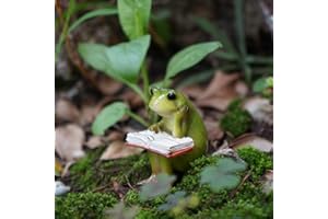 picocosmxiruo Miniature Small Frog Reading Book,Rabbit Reading Book with Bird， Animal Figurines Fairy Garden Supplies Terrarium Accessories DIY Miniature Garden (Miniature Small Frog Reading Book)