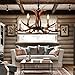 YHF Resin Antler Chandeliers 6 Light 30.7