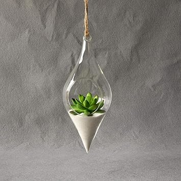 Amazon Co Jp ホームシンプルハンギングガラス花瓶ハンギングテラリウム水耕植物フラワークリアコンテナ屋内ハンギング花瓶家の装飾 スポーツ アウトドア