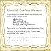 GuqiGuli 14k Yellow Gold Plated Fashion Idiom Hinged Bangle Bracelets for Women and Girls, 7