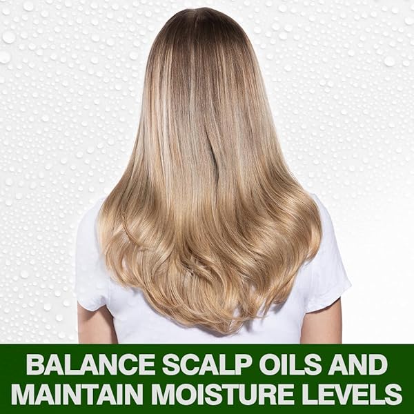 CHI TEA TREE OIL SHAMPOO, STRENGTHENING SHAMPOO FOR GENTLY CLEANSING HAIR & REMOVING IMPURITIES, SULFATE, PARABEN, & CRUELTY-FREE, 11.5 OZ