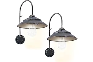 Goodeco Solar Barn Light with Motion Sensor - Metal Design Waterproof Solar Outdoor Lights - 4 High Efficiency Solar Panels with Clear Glass LED Edison Bulbs, Chicken Coop Light & More (Bronze 2P)