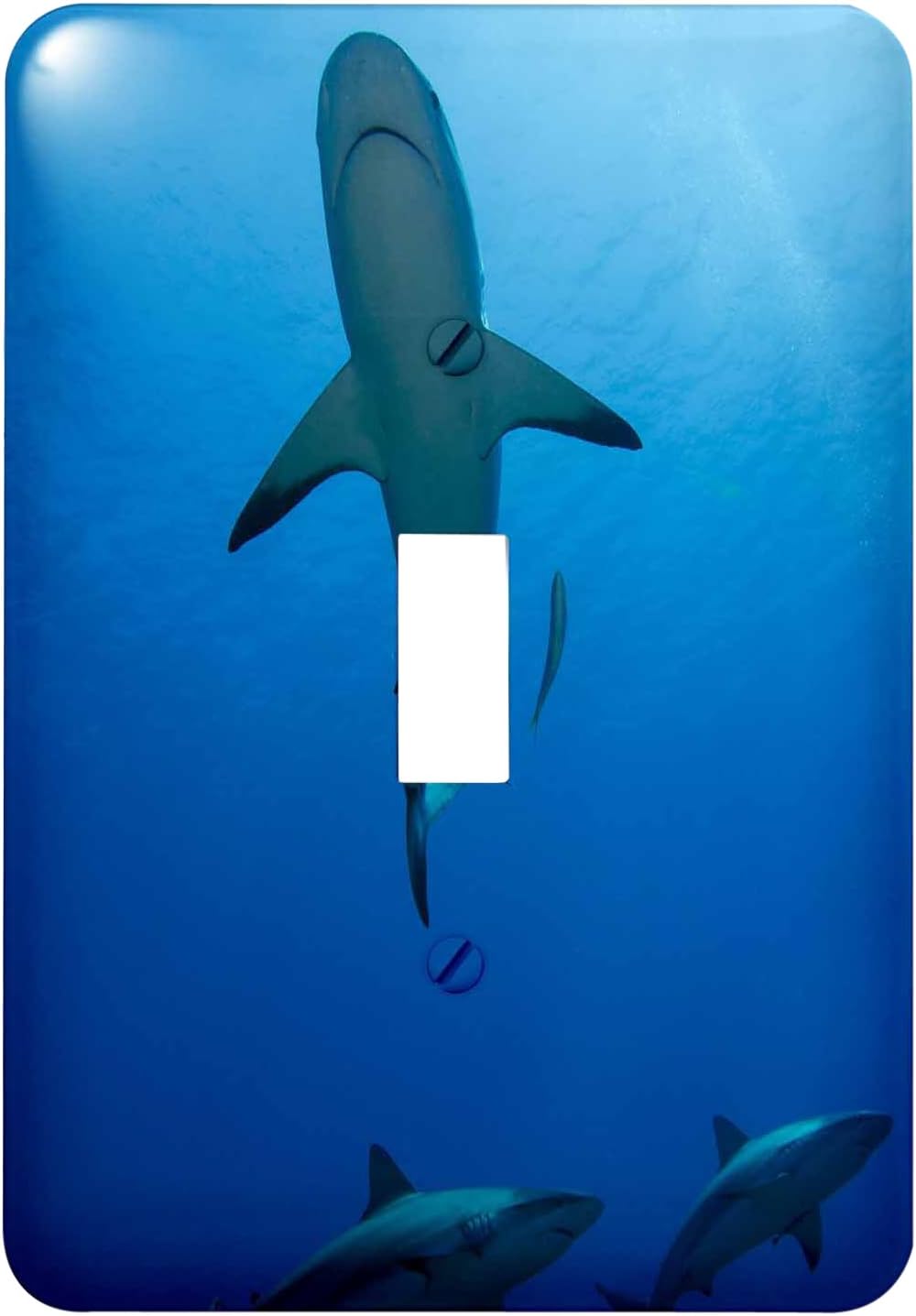 3dRose lsp_209315_1 Cuba Caribbean Reef Shark Single Toggle Switch