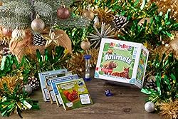 Green Board Games BrainBox
