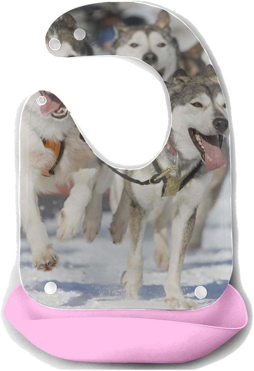 Download Amazon.com: Bib Girl Waterproof Front View Four Siberian ...