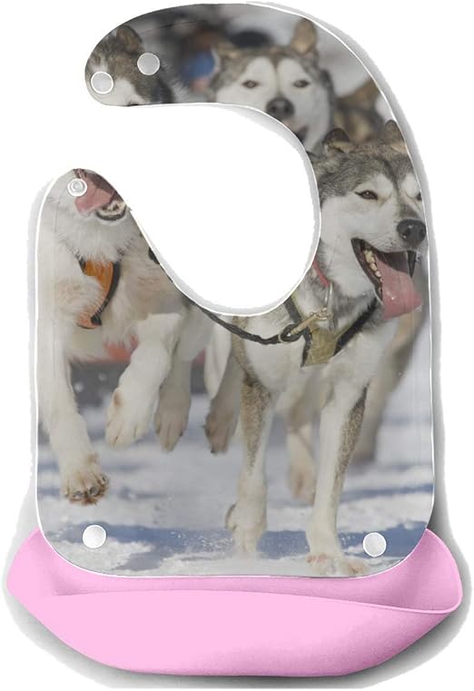 Download Amazon.com: Bib Girl Waterproof Front View Four Siberian ...
