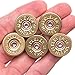 War Monkey 12 Gauge Polished Shotgun Shell Magnets in Brass - Set of 5