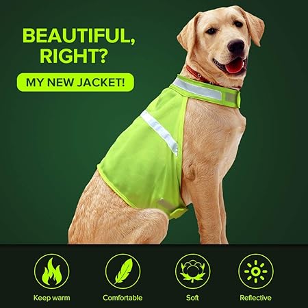 dog safety jacket