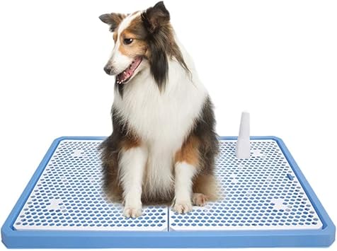 Amazon 犬のトイレ大中犬自動ペットトイレ犬便器船尾水洗トイレ用品 Color C Size 66 44cm Misc トイレトレー 通販 Amazon 犬のトイレ大中犬自動ペットトイレ犬便器船尾水洗トイレ用品 Color C Size 66 44cm Misc トイレトレー 通販