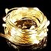 Battery Operated String Lights, DecorNova 5 Feet 30 LED Micro Fairy String Lights for Christmas Bedroom Mason Jar Wedding Party Decorations, Warm White (Set of 8)