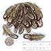 LolliBeads (TM) 50 Pcs Natural Ringneck Pheasant feather 2-3 inches