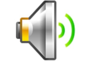 Max Volume Restrictor