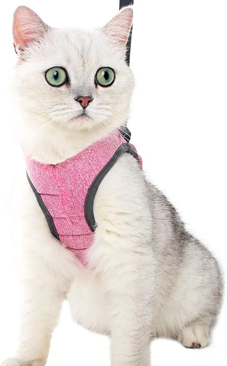 Lianzimau Harnais Pour Chat Ensemble De Harnais Et Laisse Chat Ultra Leger Harnais Chaton Reglable Anti Fuite Pour Chiot Lapin Furet Amazon Fr Animalerie
