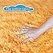 PAGISOFE Super Soft Shaggy Accent Area Rug Plush Rugs Carpets for Living Room Bedrooms Kids Nursery Home Decor Fluffy Shag Floor Carpets Silky Fuzzy Fur Rug 5x4 Feet (Orange)