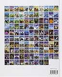 Image de La Grande Imagerie Fleurus: Les Romains (French Edition)