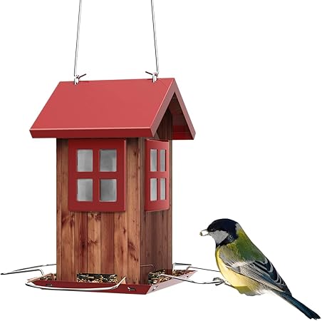 Amazon Com Kingsyard Bird Feeders For Outside Hanging Small