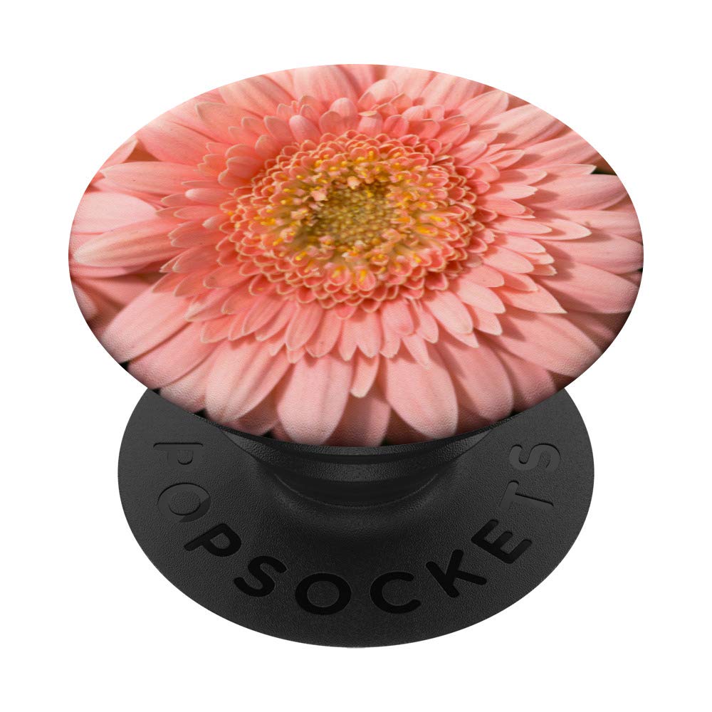 Pink Gerber Daisy Flower Floral Gift PopSockets Grip and Stand for Phones and Tablets