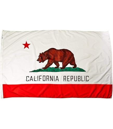 USA製CALIFORNIA REPUBLICカリフォルニア州旗 117×168 USA製CALIFORNIA REPUBLICカリフォルニア州旗 117×168 - メルカリ