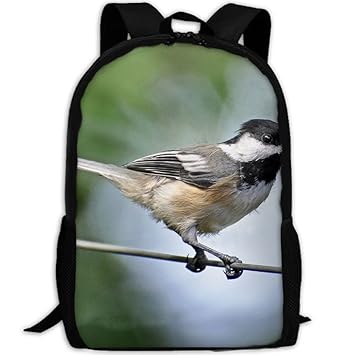 Subensm Bird Sur Un Fil Noir Et Blanc Oiseau Blanc Marron