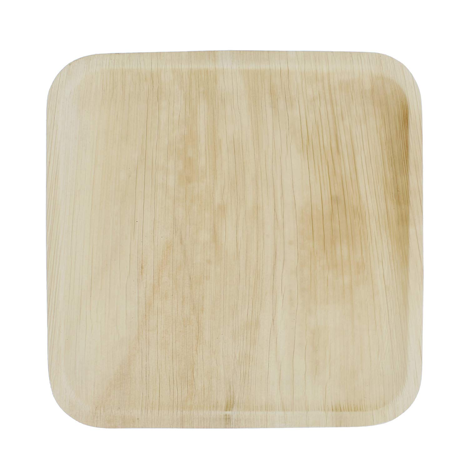 Spec101 Palm Leaf Plates - 10 Inch Square Biodegradable Plates Disposable Party Plates from Areca Palm Leaves, 50 Pack