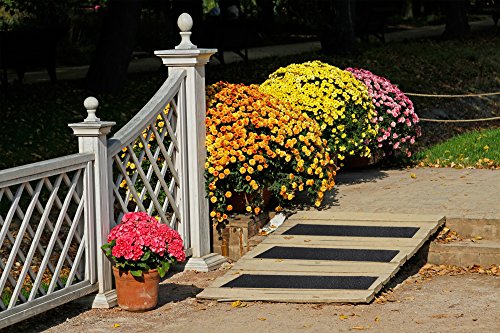 2 EdenProducts+Traction+Available+Friction+Abrasive